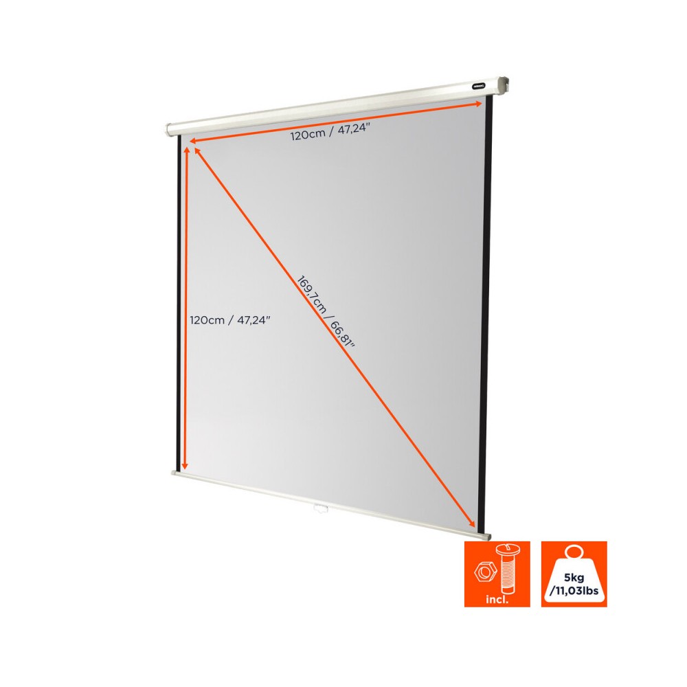 celexon Manual Economy screen, 120 x 120 cm, 1:1
