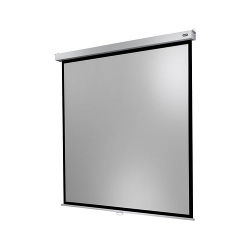 celexon Manual Professional Plus screen, 200 x 200 cm, 1:1
