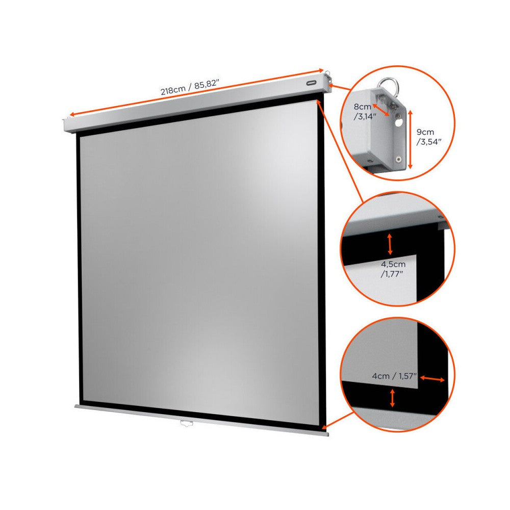 celexon Manual Professional Plus screen, 200 x 200 cm, 1:1