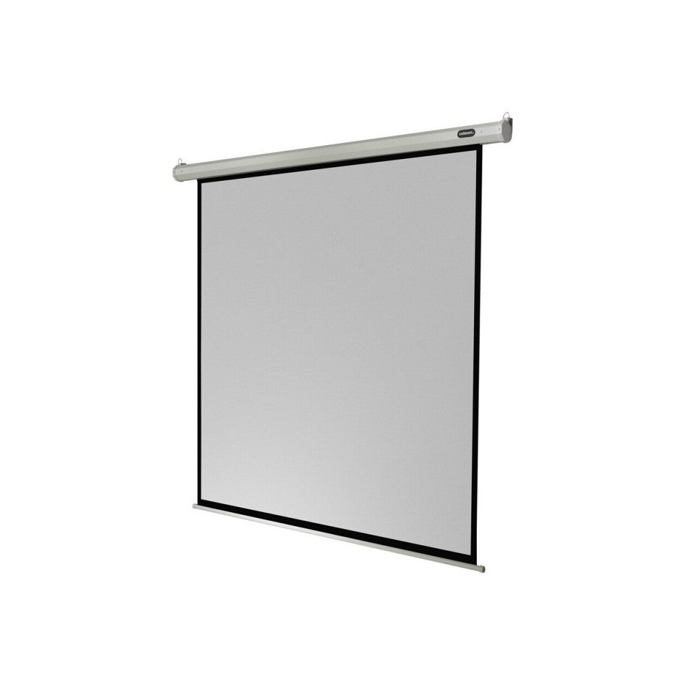celexon Electric economy screen, 160 x 160 cm, 1:1
