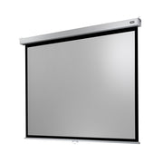 celexon Manual Professional Plus screen  240 x 180 cm, 4:3
