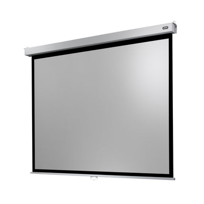 celexon Manual Professional Plus screen 240 x 180 cm, 4:3