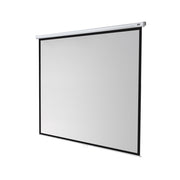 celexon Manual Economy screen  240 x 240 cm, 1:1