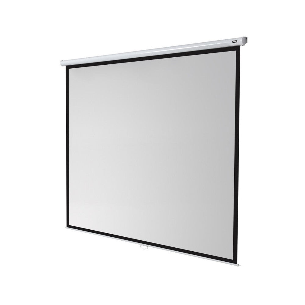 celexon Manual Economy screen  240 x 240 cm, 1:1