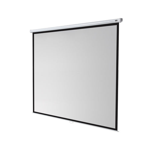 celexon Manual Economy screen  240 x 240 cm, 1:1