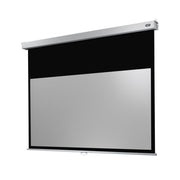 celexon Manual Professional Plus screen, 220 x 124 cm, 16:9