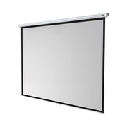 celexon Manual Economy screen, 300 x 225 cm, 4:3 aspect ratio