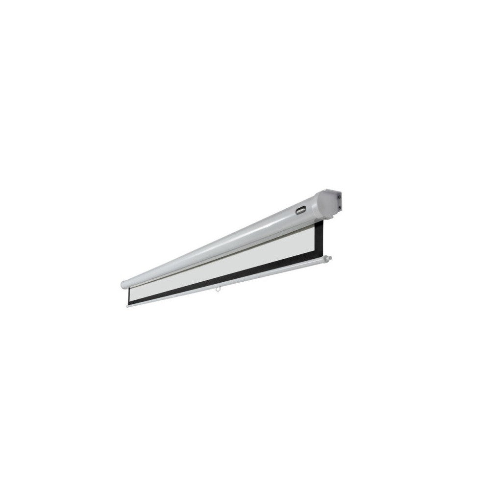 Pantalla manual celexon Economy, 300 x 225 cm, formato 4:3
