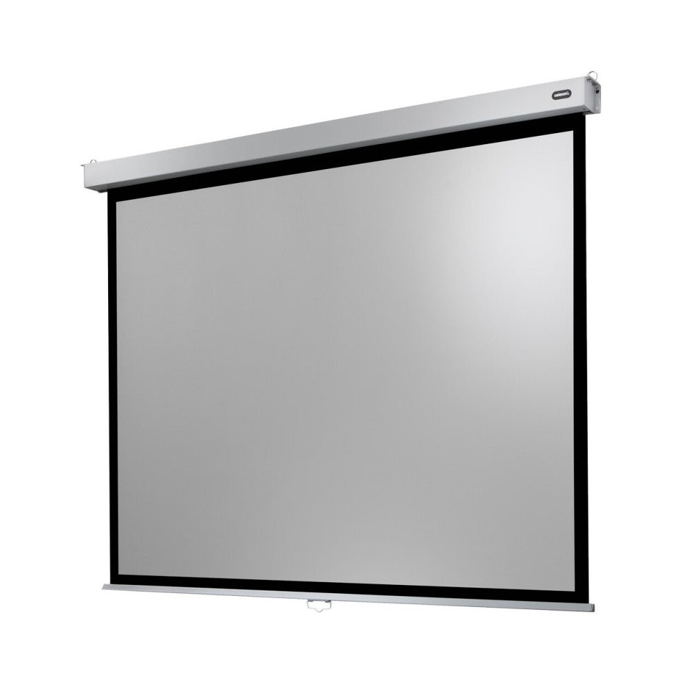 celexon Manual Professional Plus screen, 300 x 225 cm, 4:3