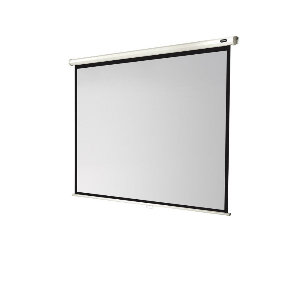 celexon Manual Economy screen, 220 x 165 cm, 4:3