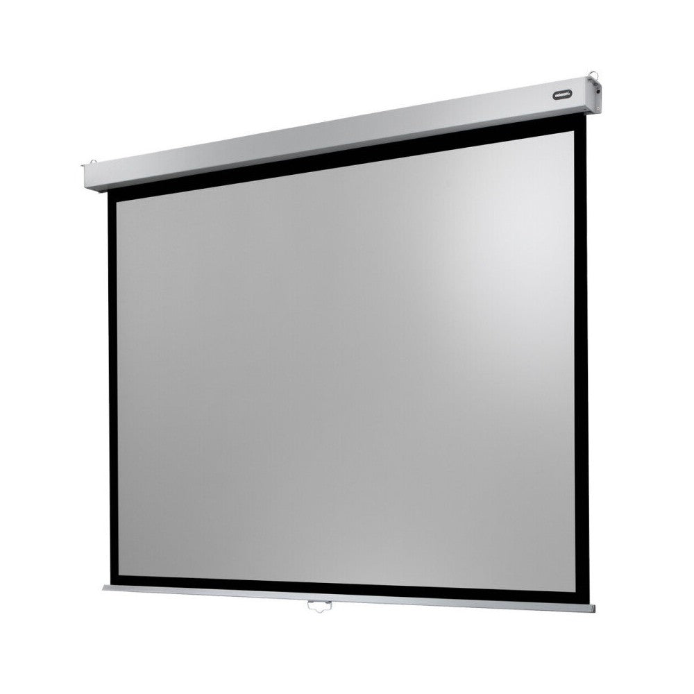 celexon Manual Professional Plus screen, 280 x 210 cm, 4:3