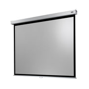 celexon Manual Professional Plus screen, 280 x 210 cm, 4:3