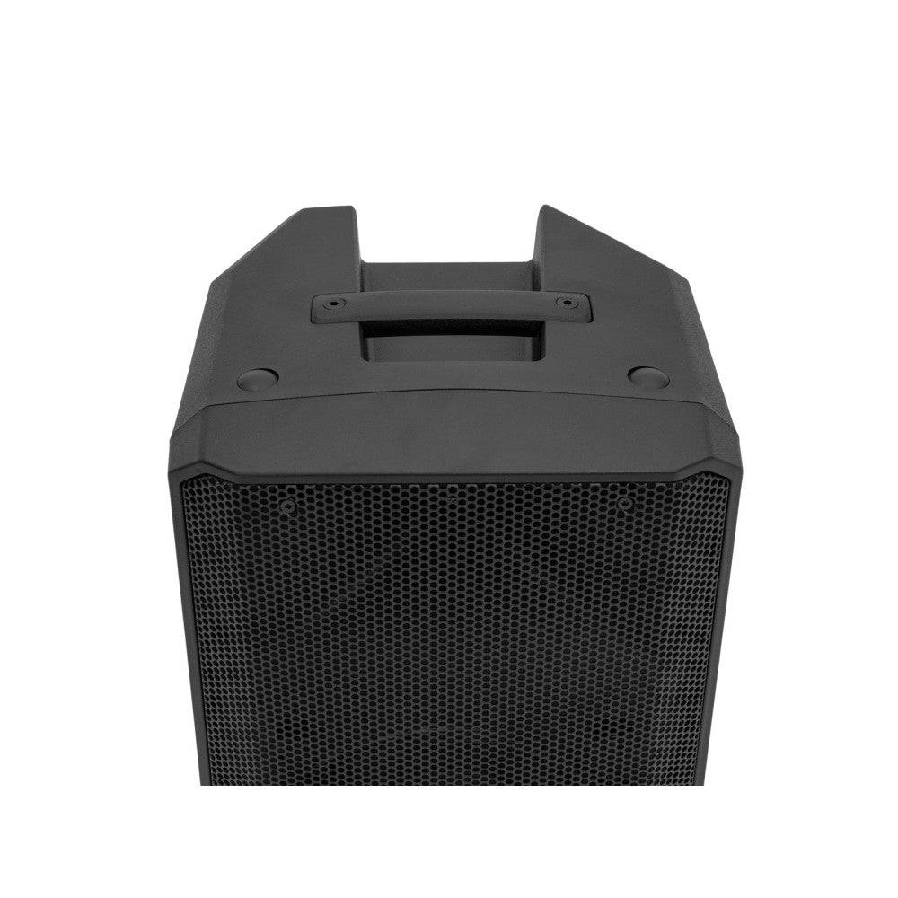 OMNITRONIC VFM-210 MK2 2-way Speaker