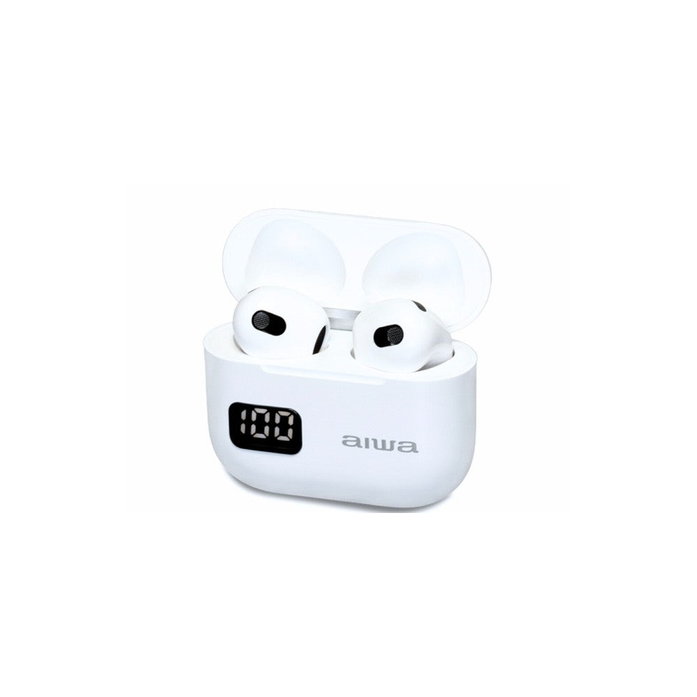 Aiwa EBTW-100WT