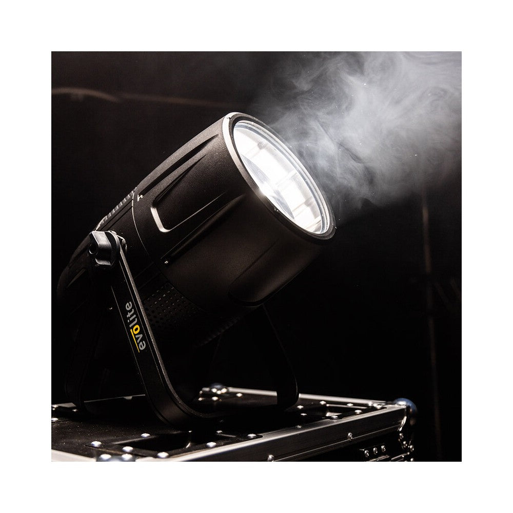 Evolite LED floodlight,  300 W total power, 2 separate LEDs, motorised zoom (10° to 50°), DMX / RDM compatible, IP65