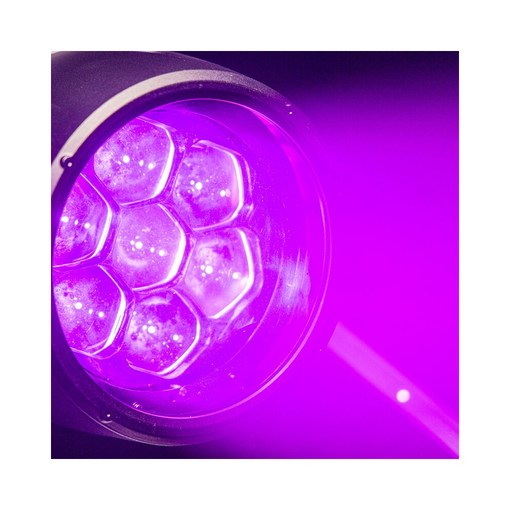 Evolite Archi LED spotlight, 7 x 40 W RGBW LEDs, 5° to 45° zoom, IP65 certified