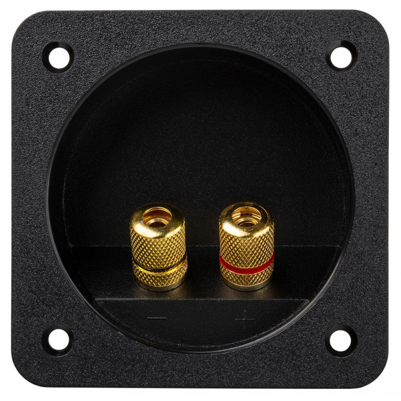 JB SYSTEMS TE10