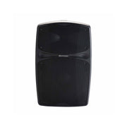 Audiophony 250 W RMS active battery-powered portable loudspeaker, 12" LF + 1.35" HF, USB / SD / BT5.0, talkover, effects