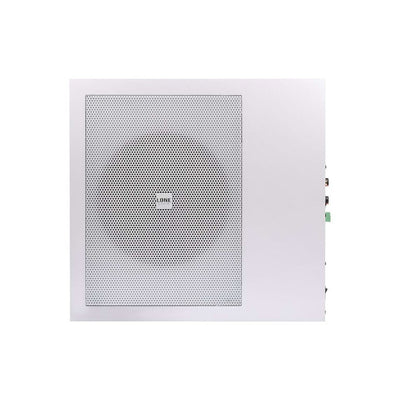 LONE AUDIO 120W RMS Class-D Active Subwoofer