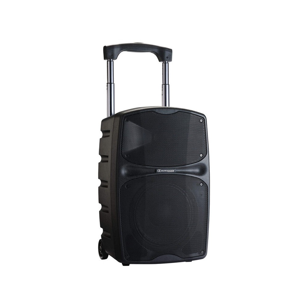Audiophony 120 W RMS active battery-powered portable loudspeaker, 10" LF + 1" HF, USB / SD / BT5.0, talkover, effects