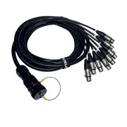 Quik Lok ITPRO/SY25M8F-2,5 Frusta 8 Canali Syntax Maschio Cannon XLR Femmina 2,5 mt