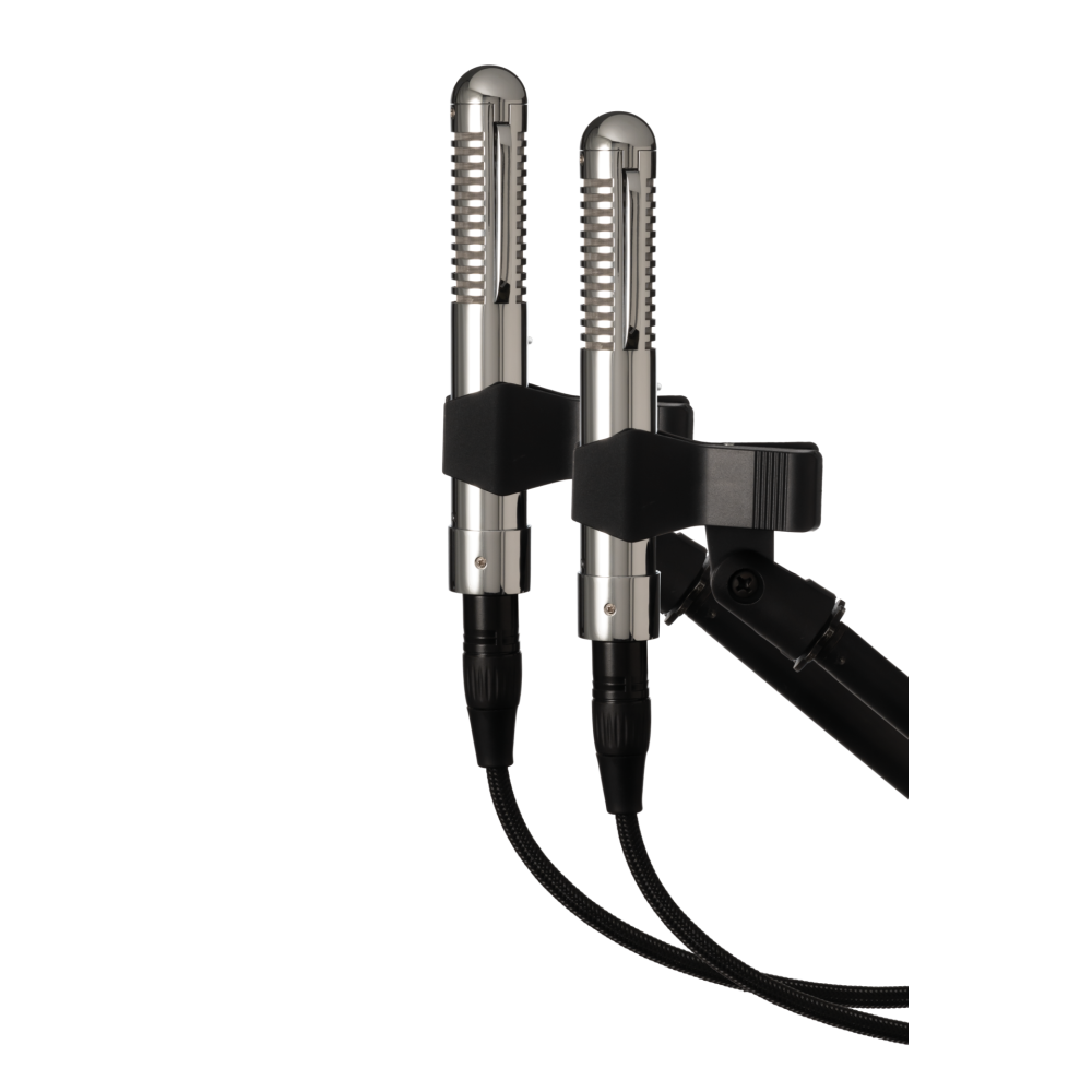 Warm Audio WA-2FT Fen-tone Stereo Pair