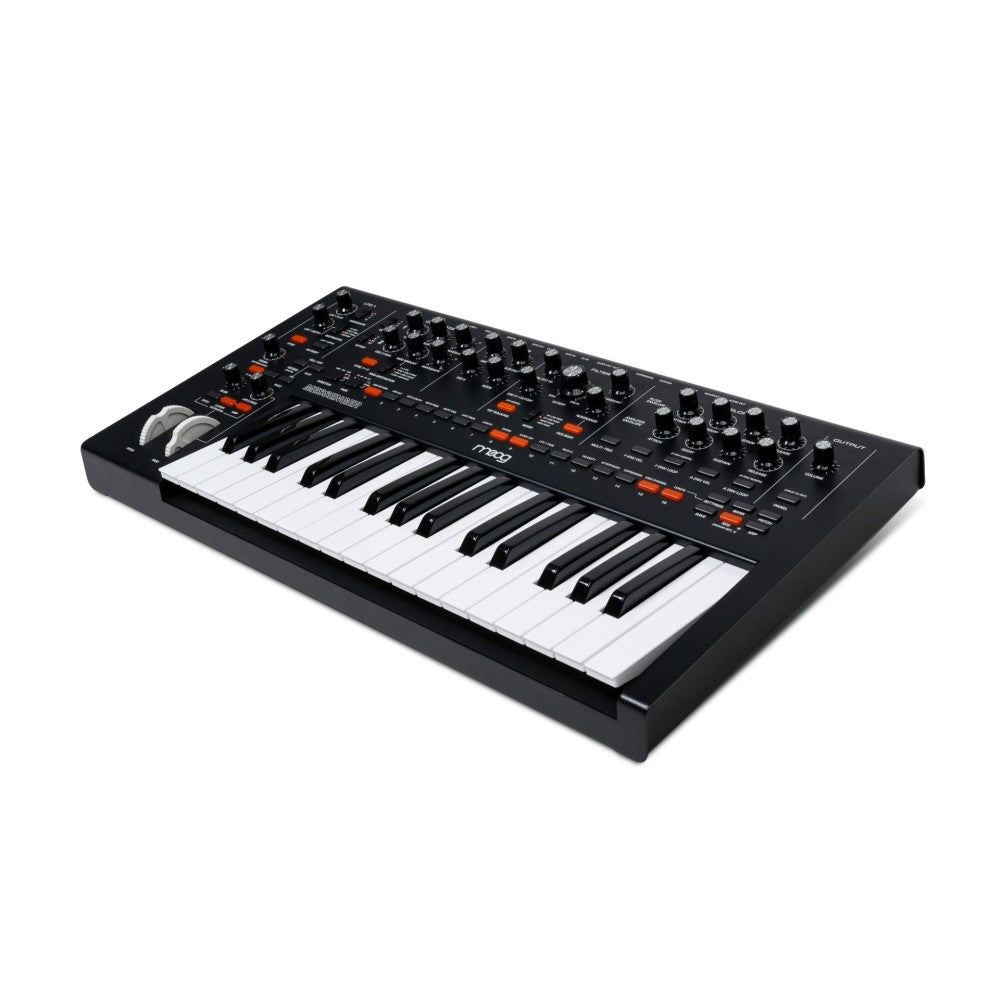 Moog Messenger Sintetizador analógico monofónico