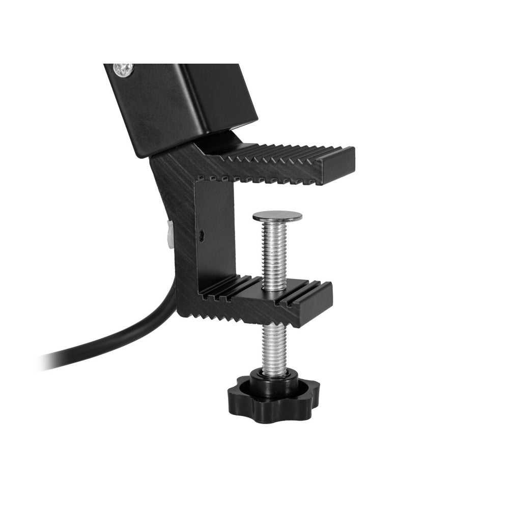 EUROLITE LED KKL-70 Proyector 4200K negro
