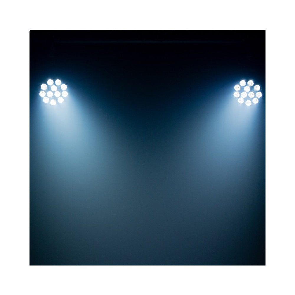 Mac Mah 4-in-1 RGBW LED PAR projector with 12 single 10 W LEDs