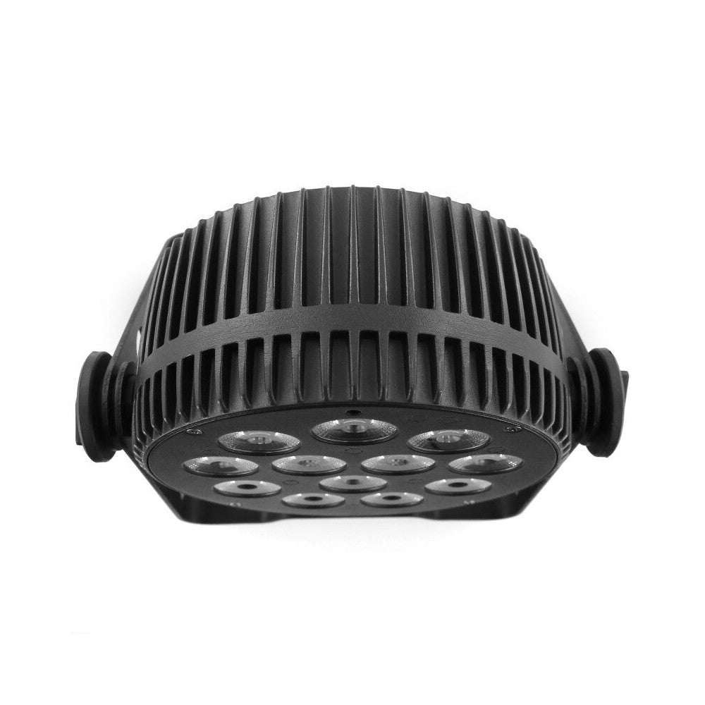 Mac Mah 4-in-1 RGBW LED PAR projector with 12 single 10 W LEDs