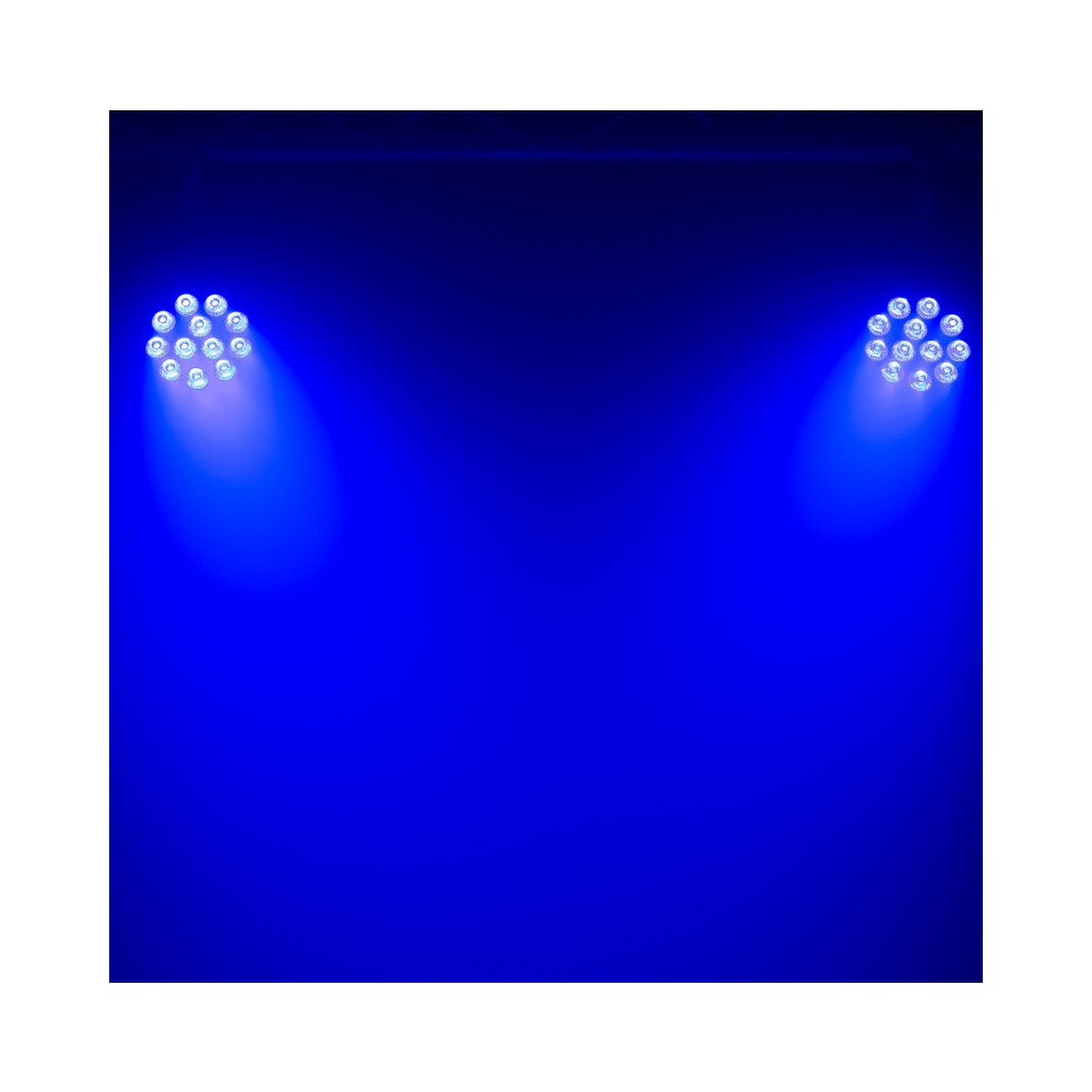 Mac Mah 4-in-1 RGBW LED PAR projector with 12 single 10 W LEDs