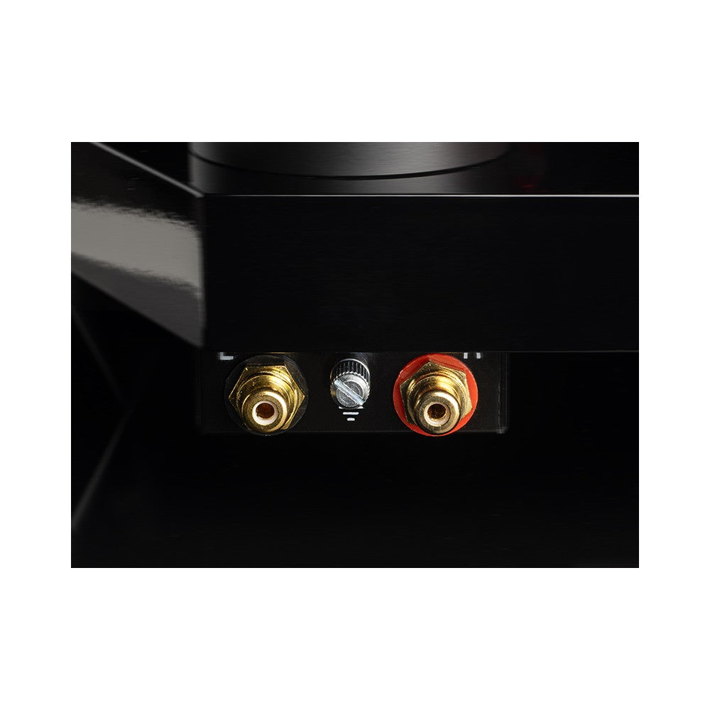 Pro-Ject AC/DC Turntable