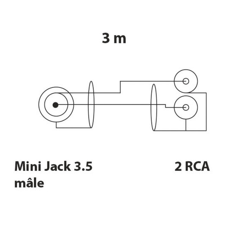 Rondson CL 20 Cable M. mini-jack - 2 M. RCA, 3 m