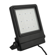 SHOWTEC Cedda 100 100W 100 W Proiettore LED bianco brillante da 100 W