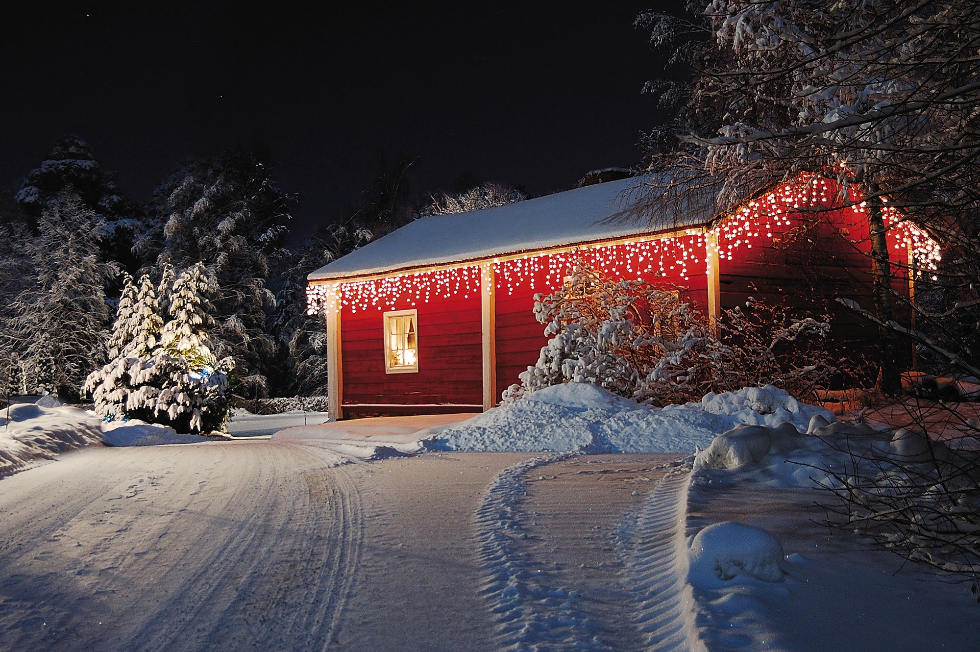 SHOWTEC LED Rubber Icicle Light WW White Colore bianco - 200 LED - 5 m