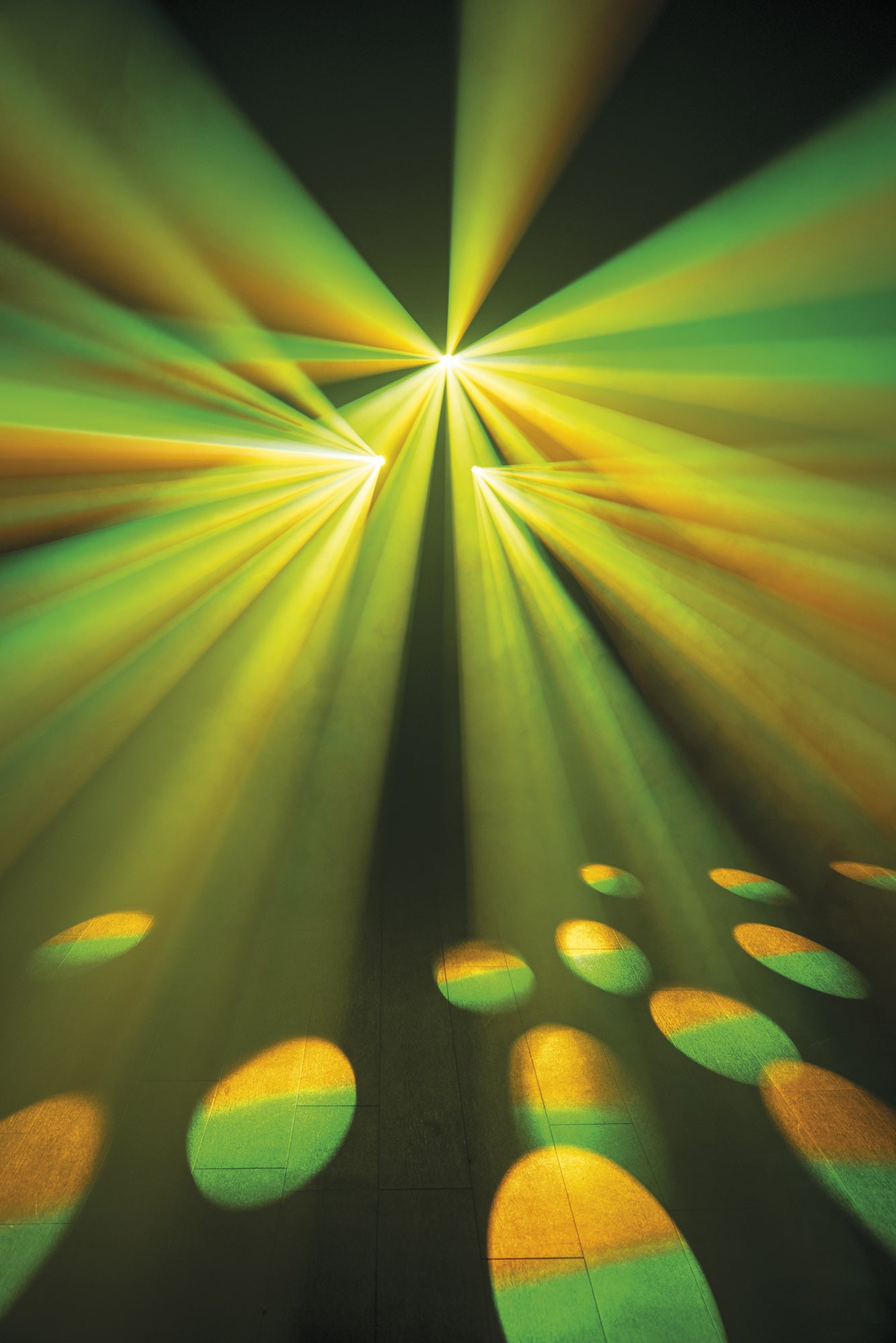 Showtec Dataflower LED Effetto luce