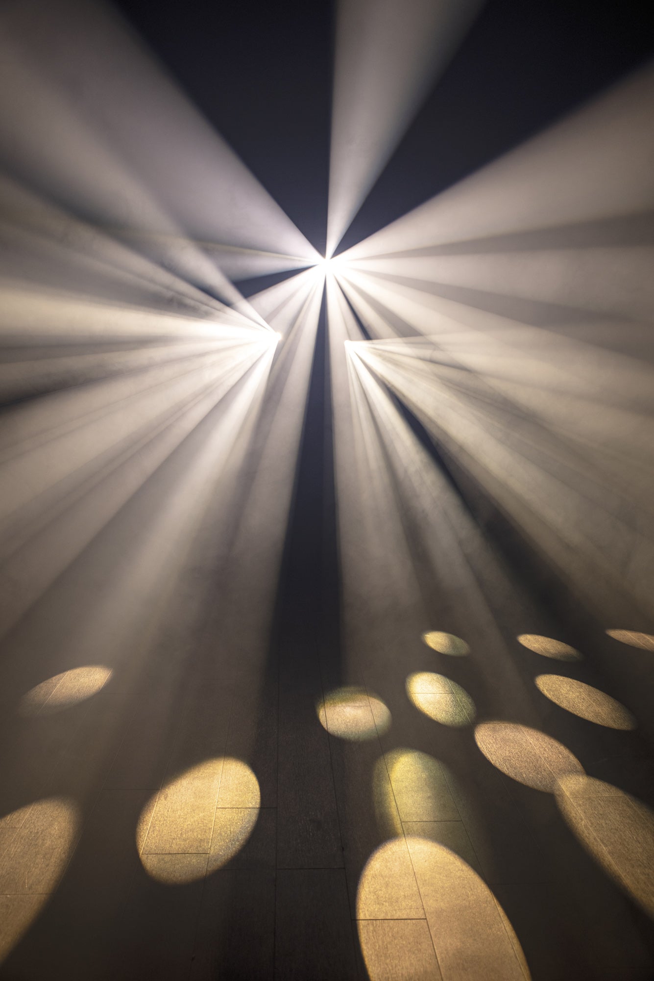 Showtec Dataflower LED Effetto luce