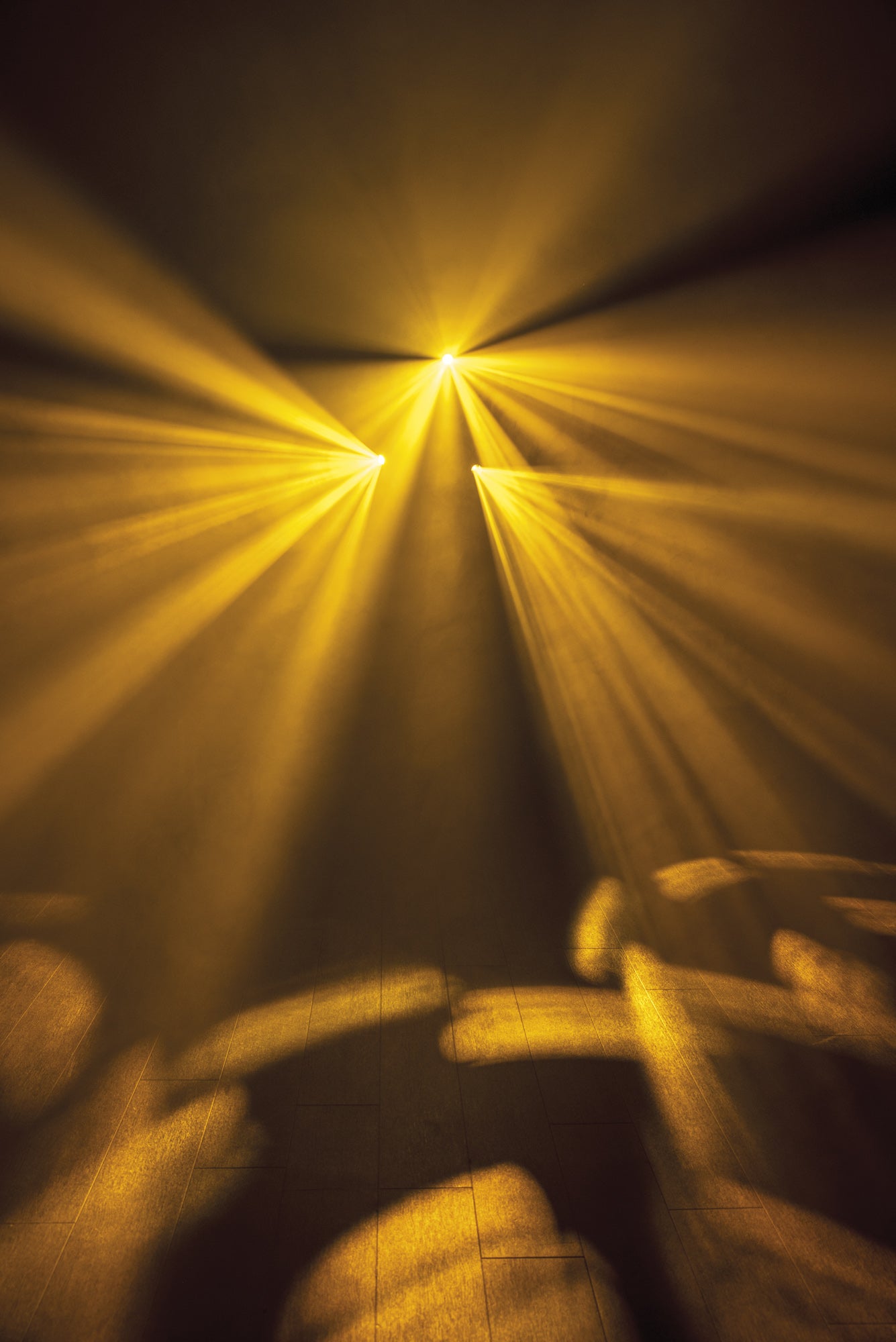 Showtec Dataflower LED Effetto luce