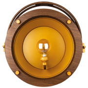 SHOWTEC Edison Vintage 1 Pale Gold / Wood Grain Luce LED retrò DMX con dimmer e presa E27 - modello venature del legno