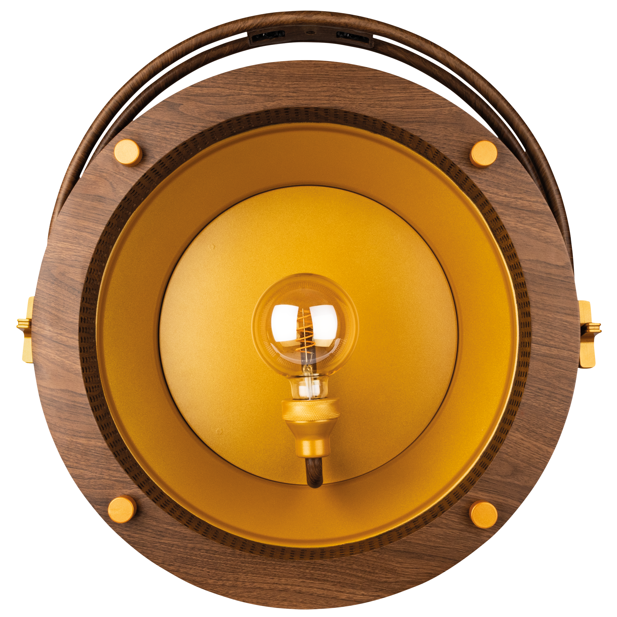 SHOWTEC Edison Vintage 1 Pale Gold / Wood Grain Luce LED retrò DMX con dimmer e presa E27 - modello venature del legno