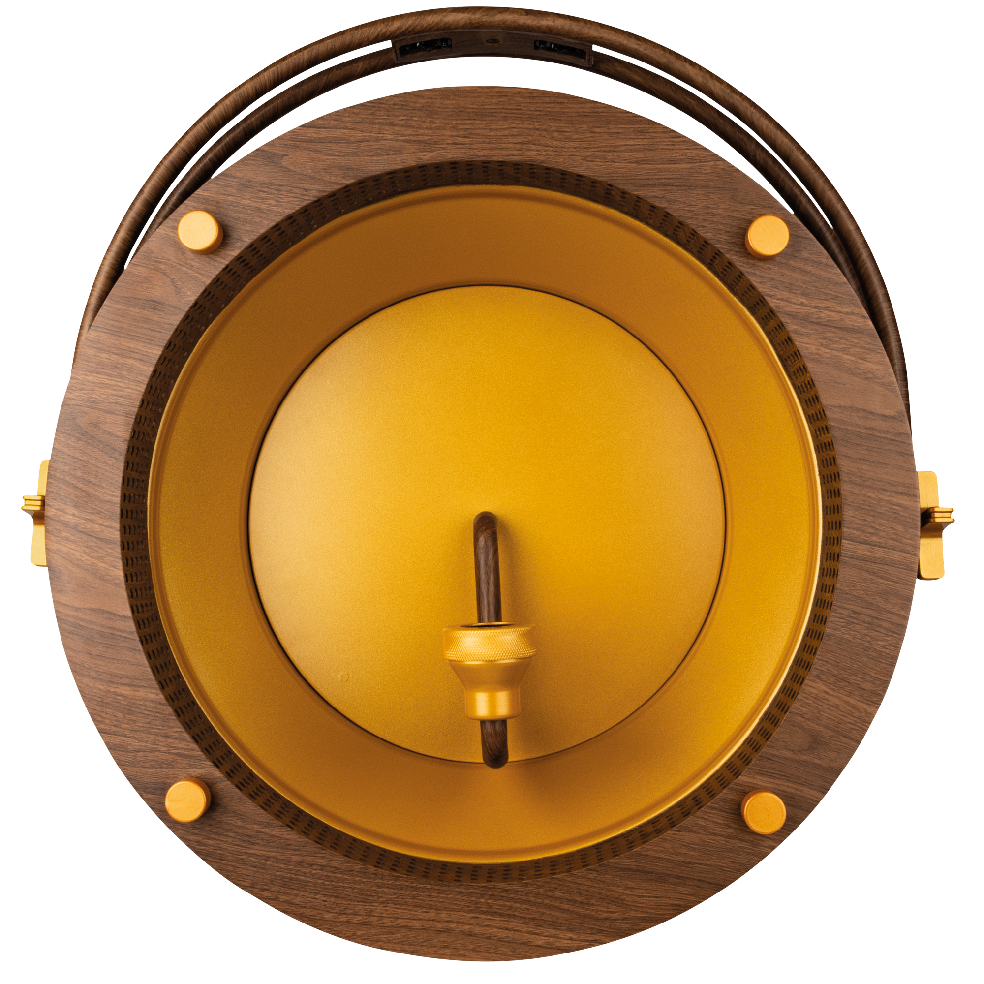 SHOWTEC Edison Vintage 1 Pale Gold / Wood Grain Luce LED retrò DMX con dimmer e presa E27 - modello venature del legno