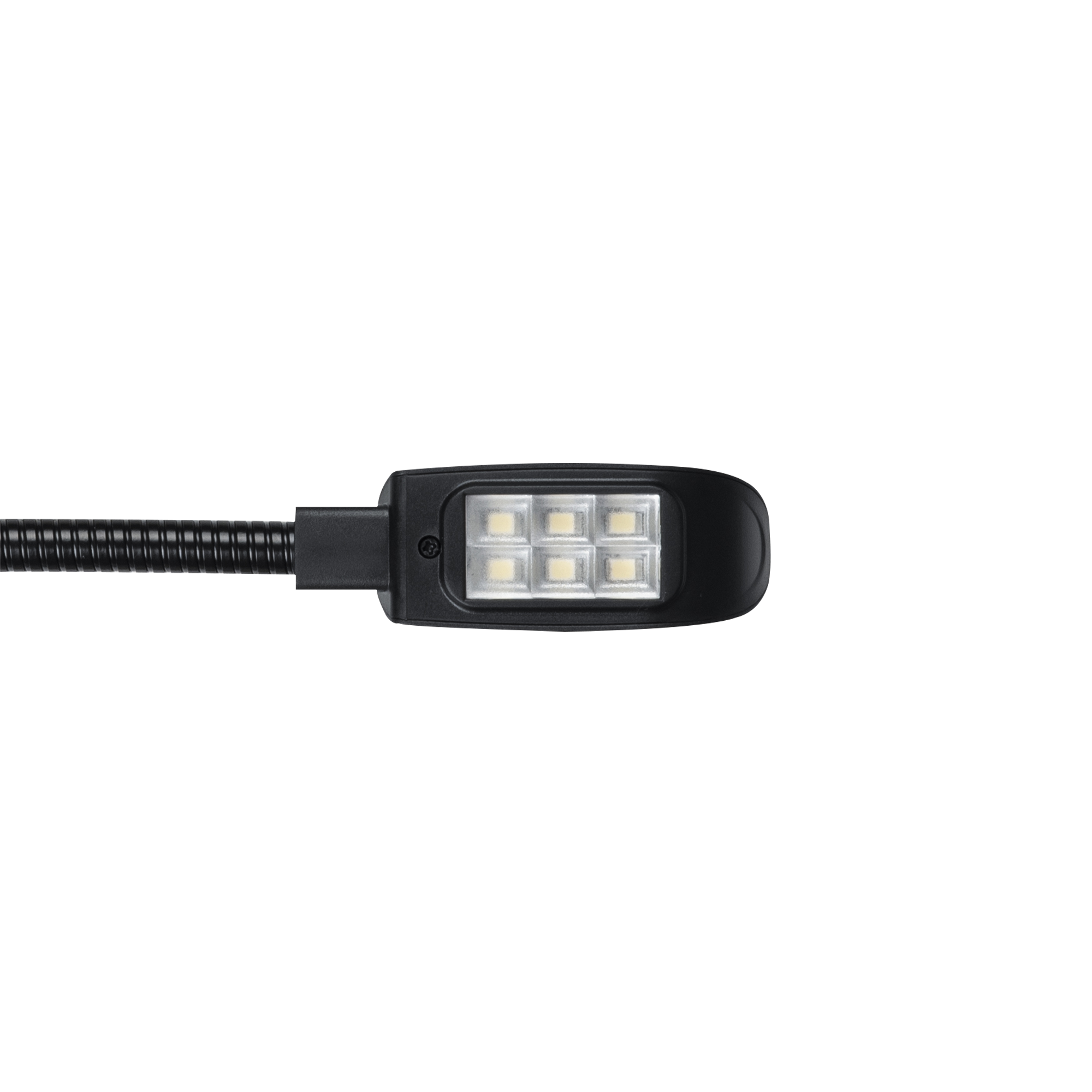 SHOWGEAR GooseLight XLR, CW 45 cm - 3-pin straight - dimmable 45 cm - 3 pin dritto - dimmerabile