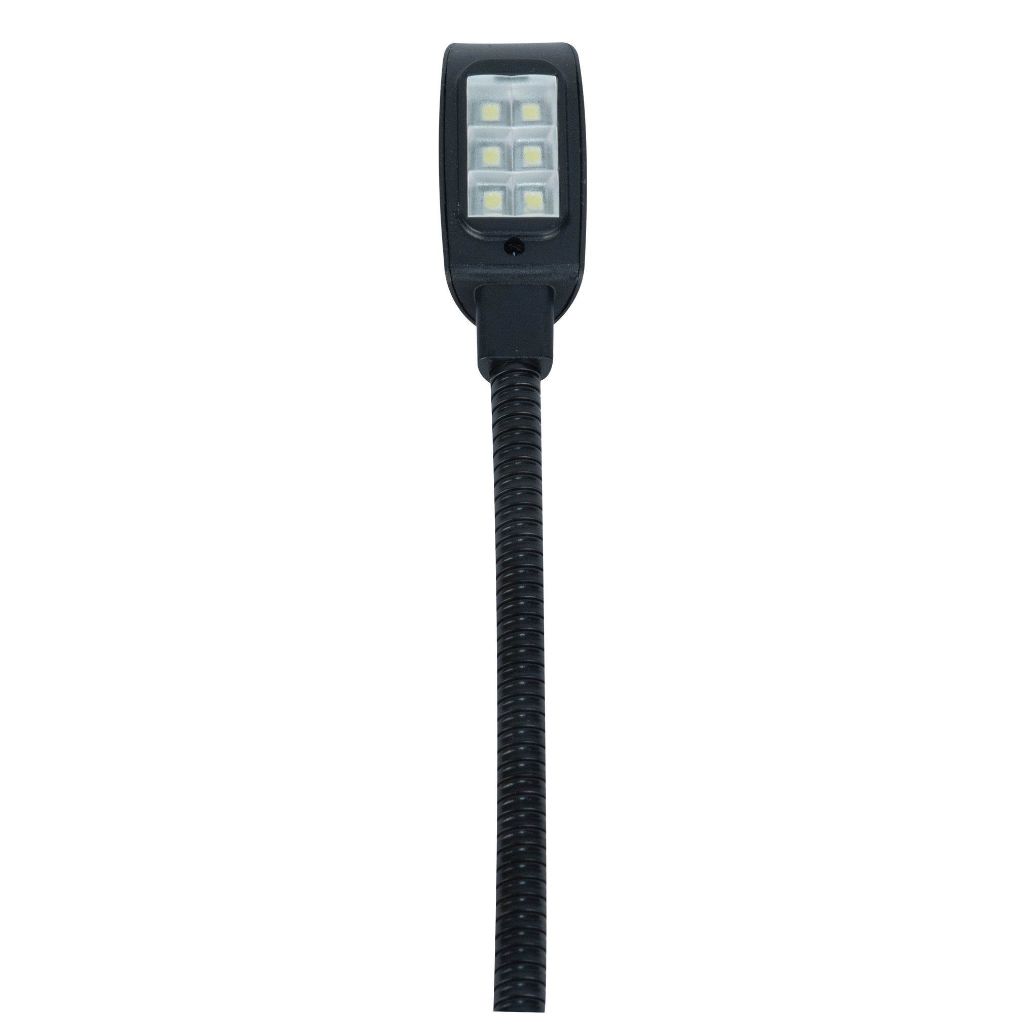 SHOWGEAR GooseLight XLR, CW 40 cm - 3-pin straight 40 cm - 3 pin dritto