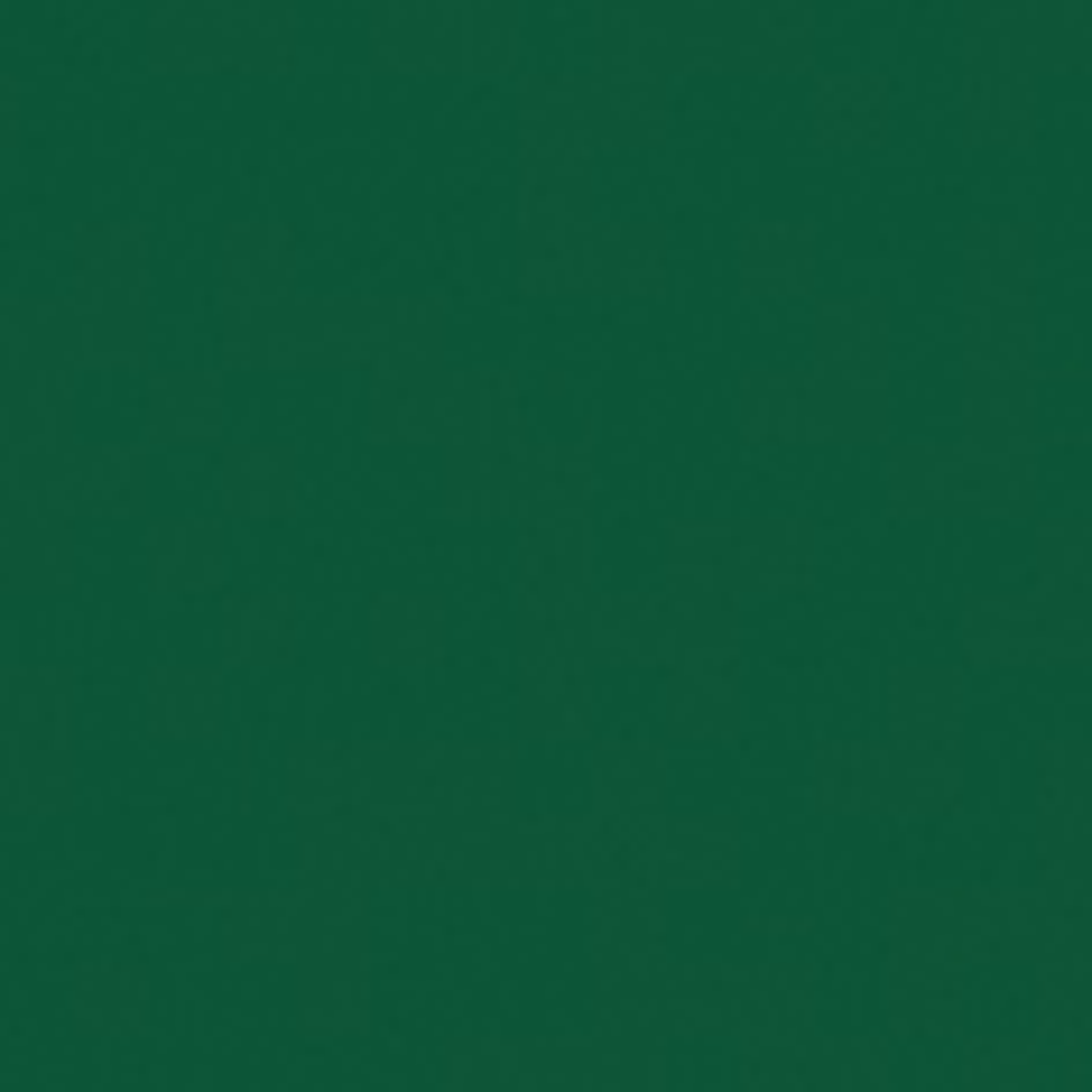 SHOWGEAR Handheld Confetti Cannon Pro 80 cm, dark green, flameproof and biodegradable 80 cm, verde scuro, ignifugo e biodegradabile