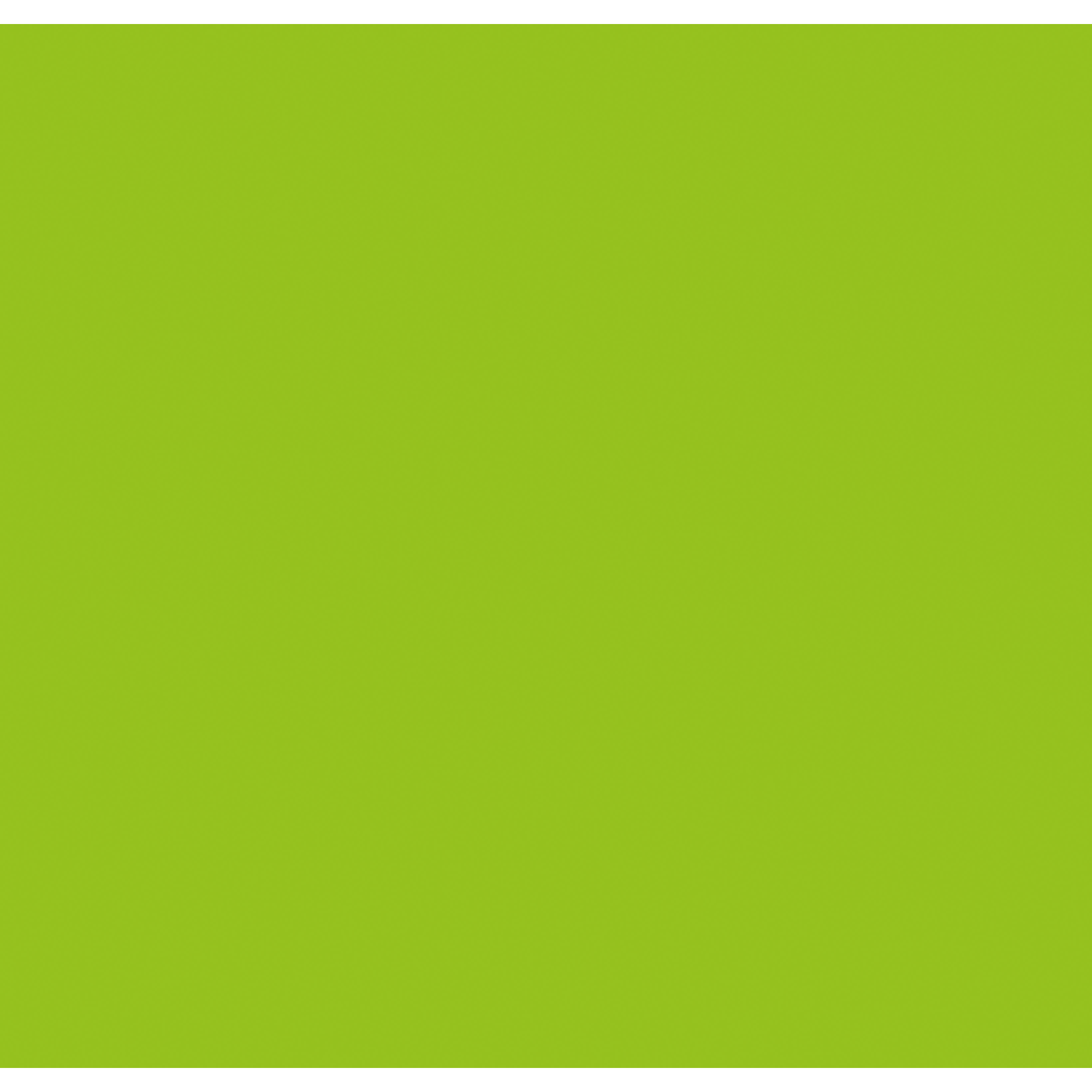 SHOWGEAR Handheld Confetti Cannon Pro 80 cm, light green, flameproof and biodegradable 80 cm, verde chiaro, ignifugo e biodegradabile