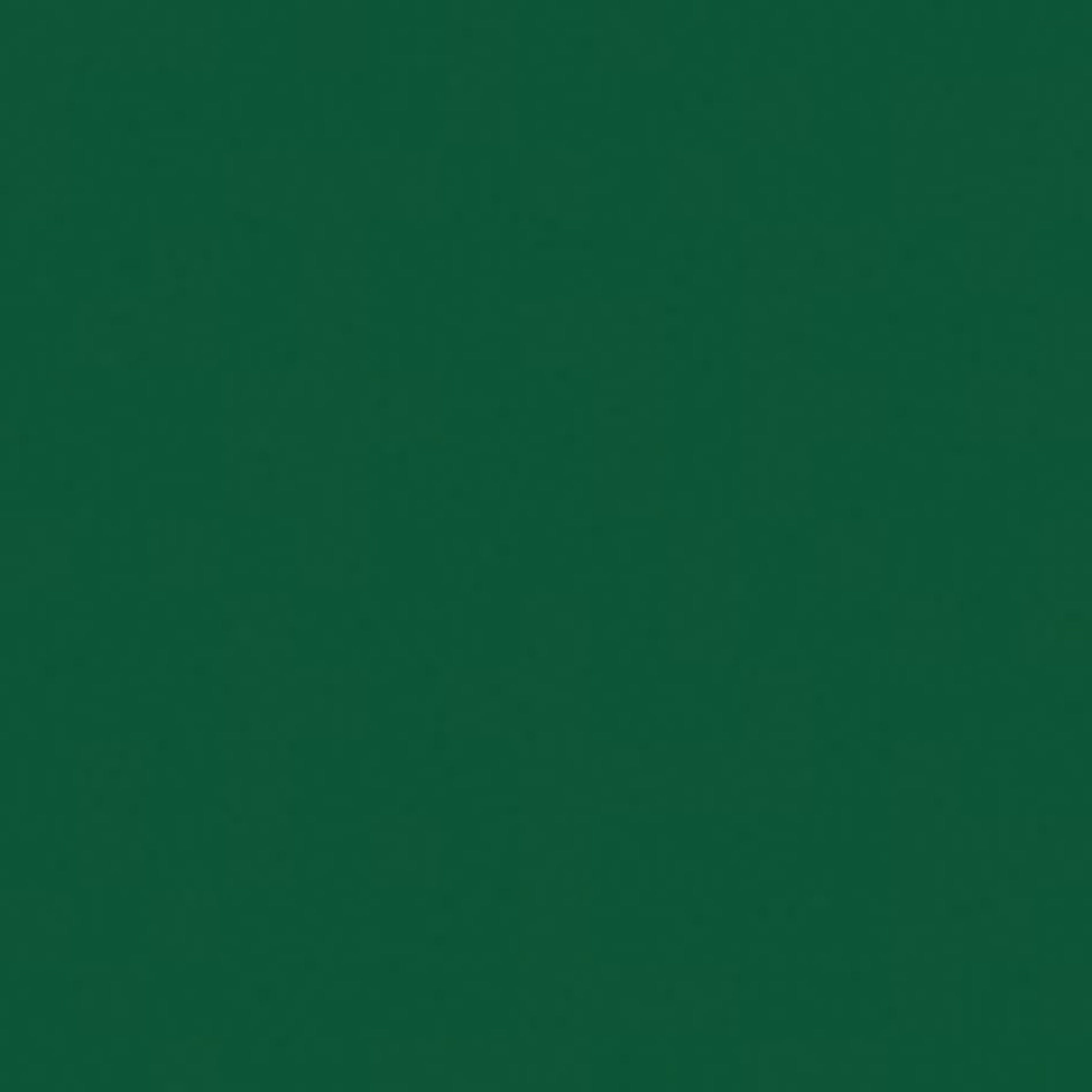 SHOWGEAR Electric Confetti Cannon 50 cm, dark green, flameproof and biodegradable 50 cm, verde scuro, ignifugo e biodegradabile