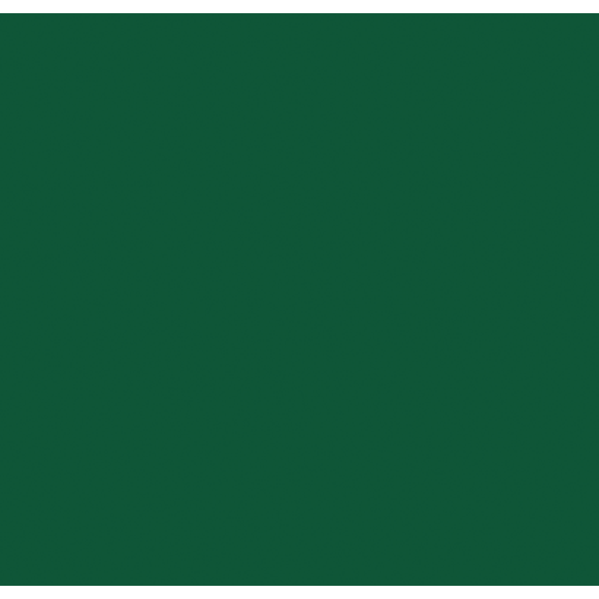 SHOWGEAR Electric Confetti Cannon 50 cm, dark green, flameproof and biodegradable 50 cm, verde scuro, ignifugo e biodegradabile