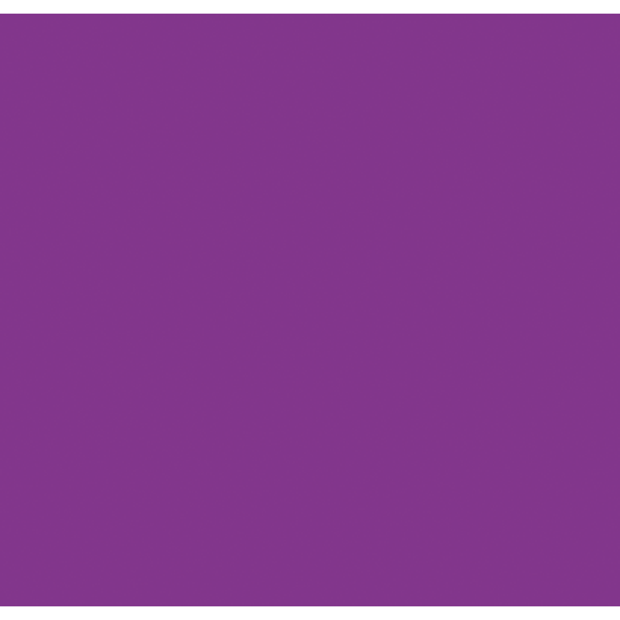 SHOWGEAR Electric Confetti Cannon 50 cm, purple, flameproof and biodegradeable 50 cm, viola, ignifugo e biodegradabile