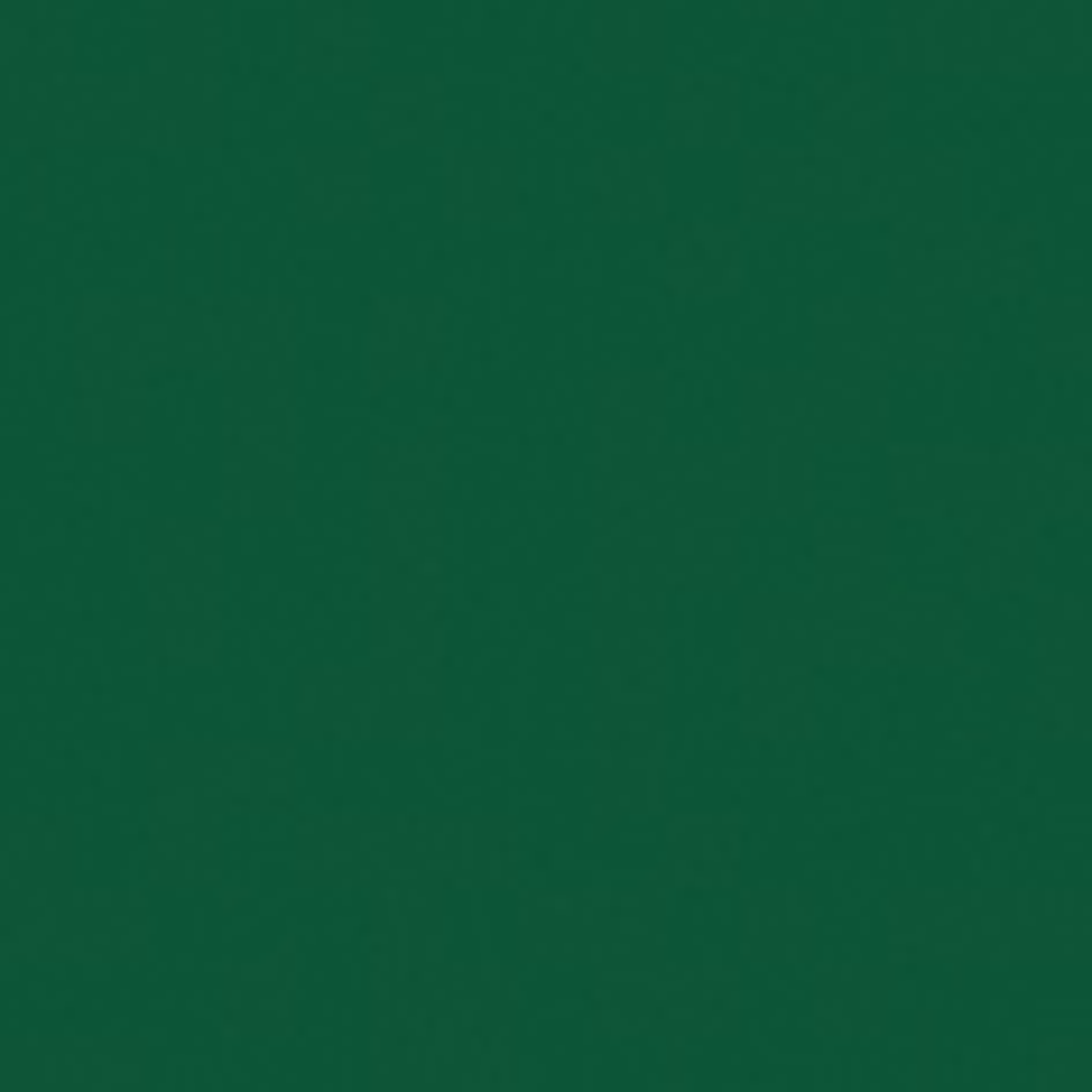 SHOWGEAR Electric Confetti Cannon Pro 80 cm, dark green, flameproof and biodegradable 80 cm, verde scuro, ignifugo e biodegradabile