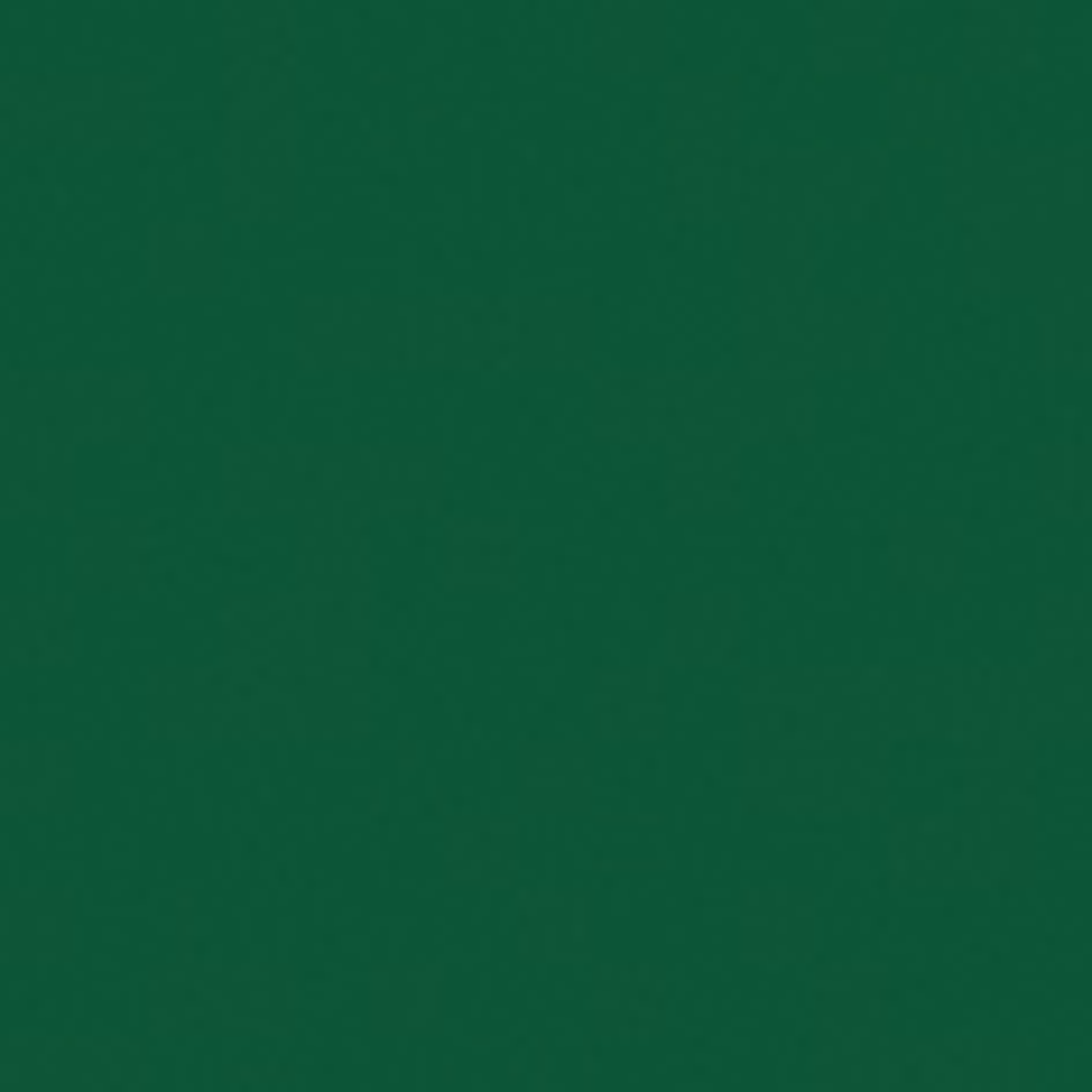 SHOWGEAR Electric Streamer Cannon Pro 80 cm, dark green, flameproof and biodegradable 80 cm, verde scuro, ignifugo e biodegradabile